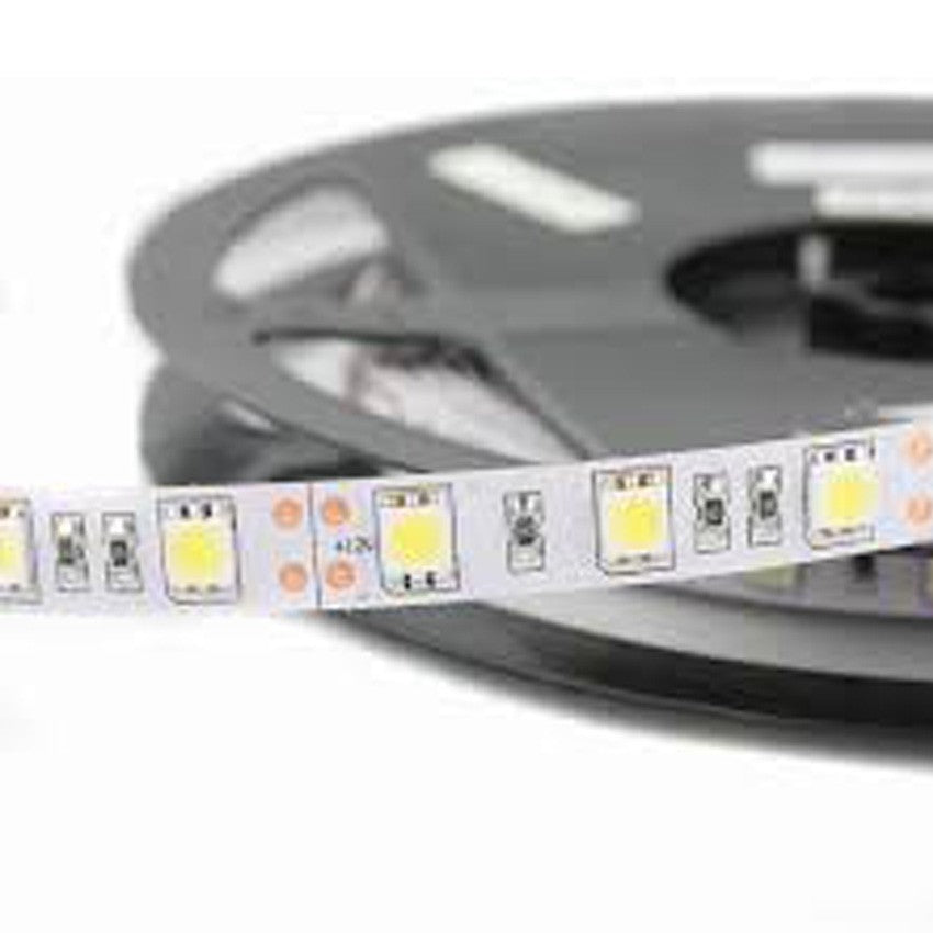 Tira LED 12V 14,4W 60 LEDs/m Rollo Eco 5 Metros