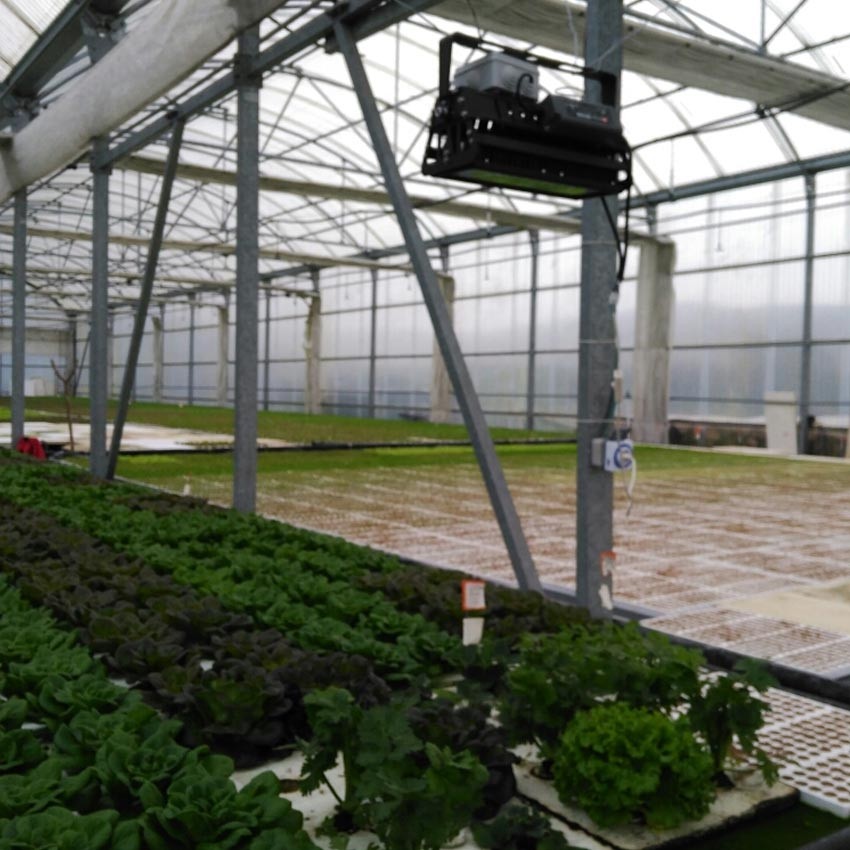 Proyector Crecimiento Plantas Modulo 80W R/B/W