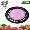 CAMPANA LED UFO REDONDO NEGRO 60W LUZ MORADA PARA EMPOTRAR