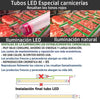 Tubo LED T-8 10W 600mm Especial Carne Deluxe