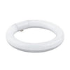 Tubo LED Circular 15W 215mm T9 220V