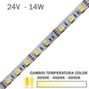 Tira LED 24V 14W 60LEDs/m Cambio Temperatura Color CCT