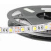 Tira LED 24V 14,4W 60 LEDs/m Rollo Eco 5 Metros