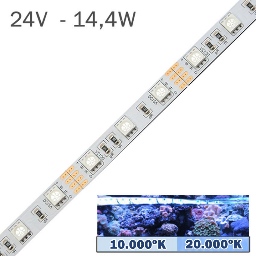 Tira LED 24V 14,4W 60LEDs/m 10000K - 20000K