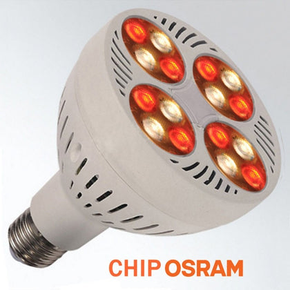 Bombilla LED para Carnicerías Pescaderías PAR30 E27 35W Luz Neodimio