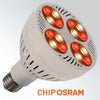 Bombilla LED para Carnicerías Pescaderías PAR30 E27 35W Luz Neodimio