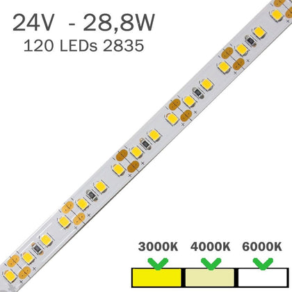 TIRA LED 220V BG IP65 12W/m SMD2835 – LedyLuz