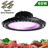 CAMPANA LED UFO REDONDO NEGRO 60W LUZ MORADA PARA EMPOTRAR