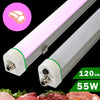 Barra LED Alta Potencia 55W 120cm Fresh Meat Rosa Suave